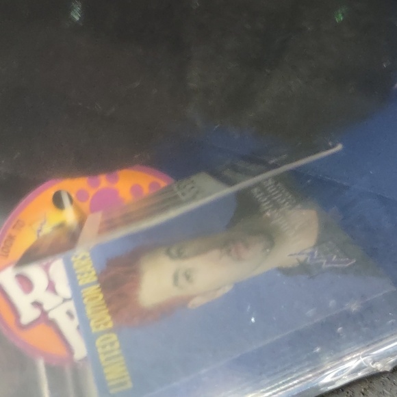 NEW SEALED LIMITED EDITION NSYNC JOEY FATONE NO STINGS ATTACHED BEAR 10219 - Picture 9 of 9